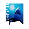 blue, deep, diving, fear, fish, ocean, sea, sealife, shark, underwater, water, white