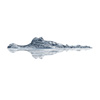 alligator, animals, crocodile, dangerous, nature, predator, reptile, water, wildlife