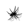 3D, animals, big, black, design, disgusting, humor, illustration, image, insect, realistic, scary, shadows, spider, virtual