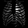 abdomen, bone, bones, bulb, health, heart, humor, humorous, internal, light, medicine, organ, skeleton, soul, thorax